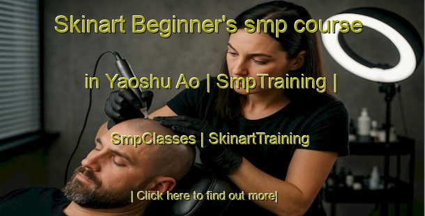 Skinart Beginner's smp course in Yaoshu Ao | SmpTraining | SmpClasses | SkinartTraining-China